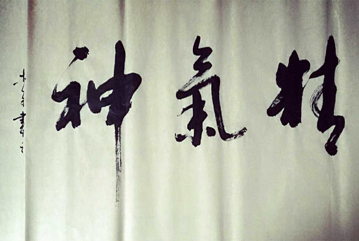精气神(精神与力气)