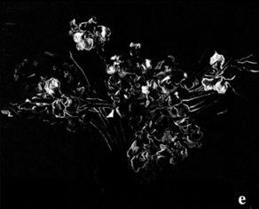 浅谈高光谱成像技术在世界名画赏析领域的应用