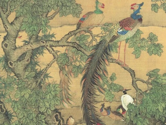 传世名画 | 沈铨《百鸟朝凤图》