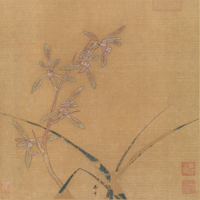 马麟花卉《兰花图》